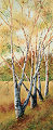 Afternoon Birches, from the Infinite Nature Series by Pat Stanley